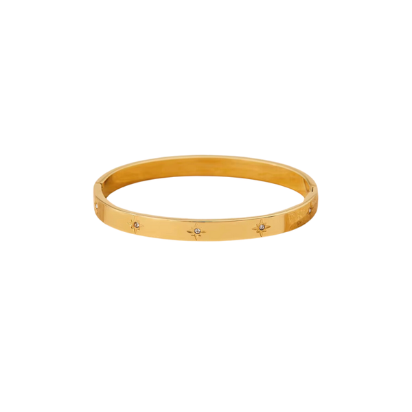 Julia I Bracelet jonc en acier inoxydable et zircons